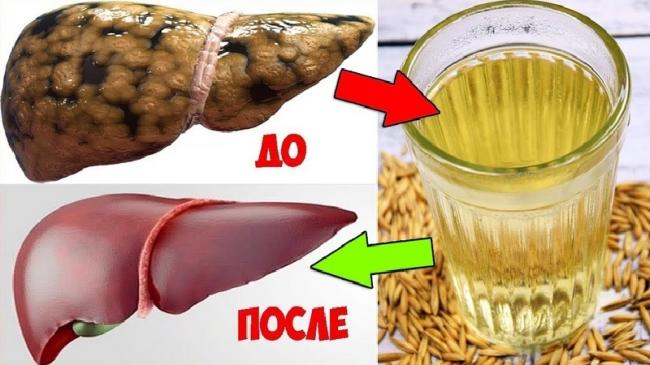 Правила заваривания овса для лечения печени