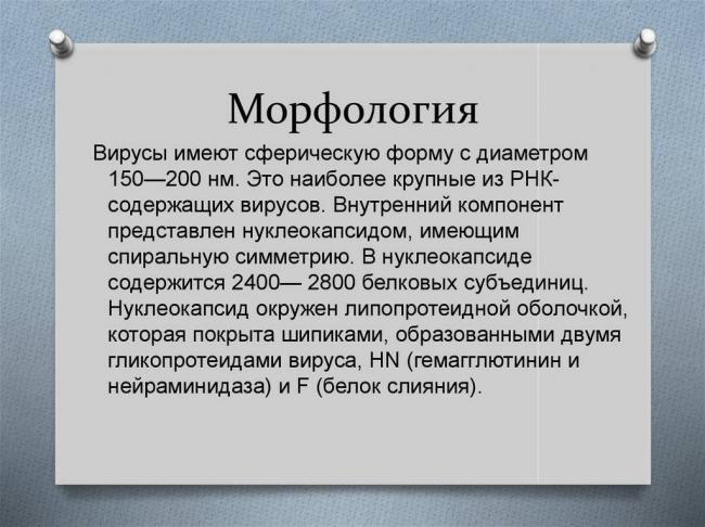 Читать книгу вирусные болезни человека валерия волжанина : онлайн чтение - страница 25