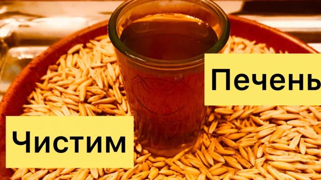 Чистка печени в домашних условиях: препараты и народные средства