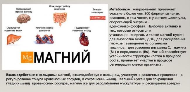 Инструкция по применению лекарственного препарата для медицинского применения магне b6 форте