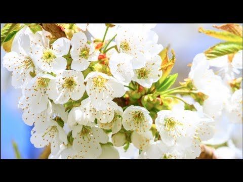 Что слушать, когда депрессия топит?