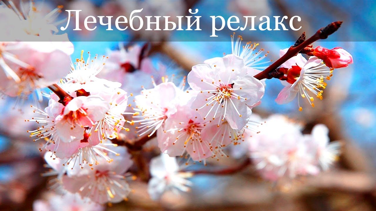 Что слушать, когда депрессия топит?